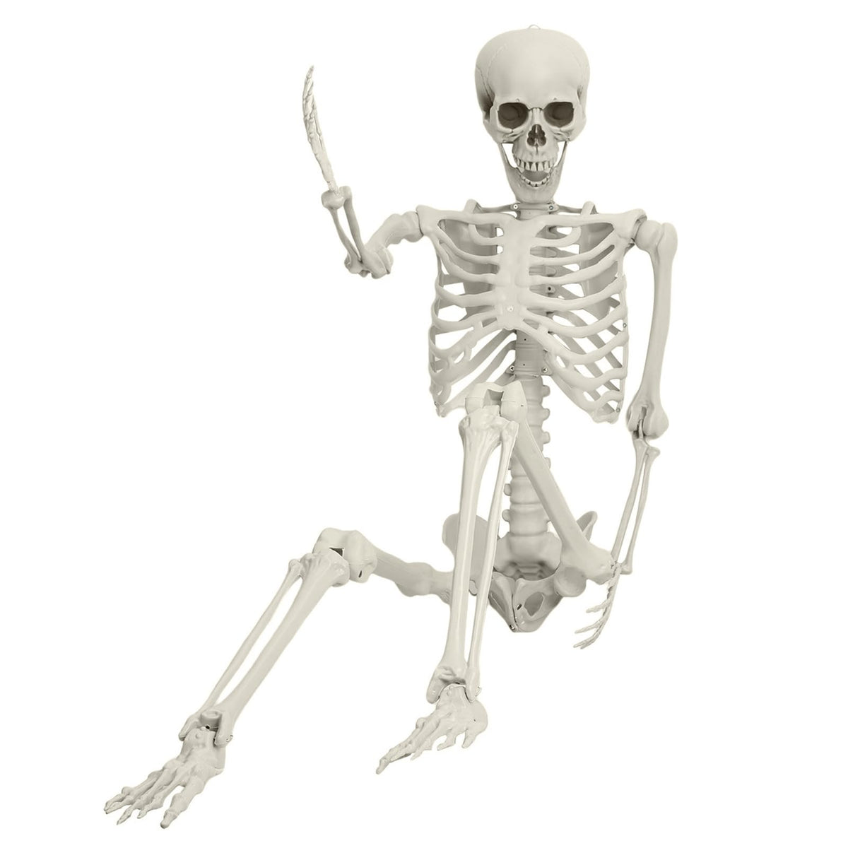 5.4FT 170cm Life Size Posable Skeleton with Movable Joints F146208