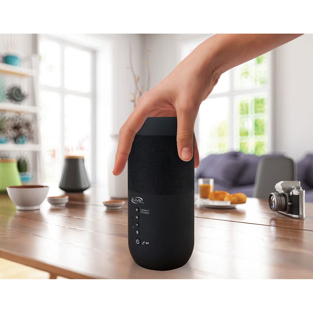 Black Waterproof Indoor and Outdoor Speakers, 2 Count O24833