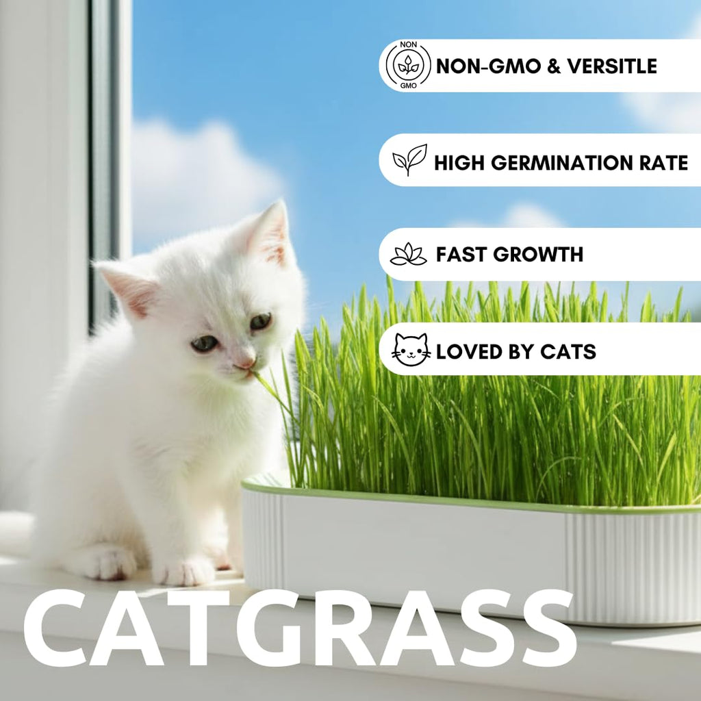Hydroponic Cat Grass Grow Kit with 2 Oz Non-GMO Seeds H457