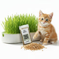 Hydroponic Cat Grass Grow Kit with 2 Oz Non-GMO Seeds H457
