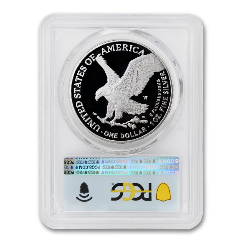 1 oz American Silver Eagle Coin S658660