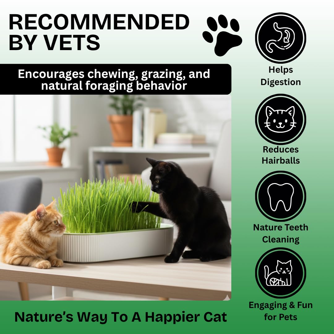 Hydroponic Cat Grass Grow Kit with 2 Oz Non-GMO Seeds H457