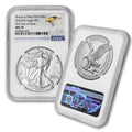 1 oz American Silver Eagle Coin MS-70 C58420