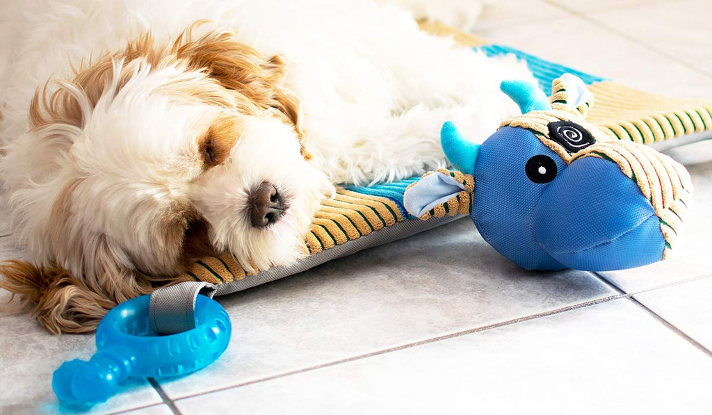 Puppy Play Mat with Teething Toys U5618