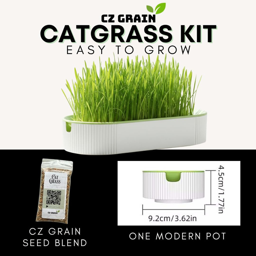 Hydroponic Cat Grass Grow Kit with 2 Oz Non-GMO Seeds H457