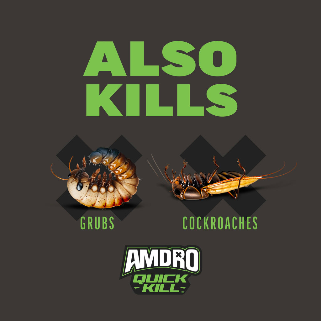 Ant & Spider Killer 3 lb B793