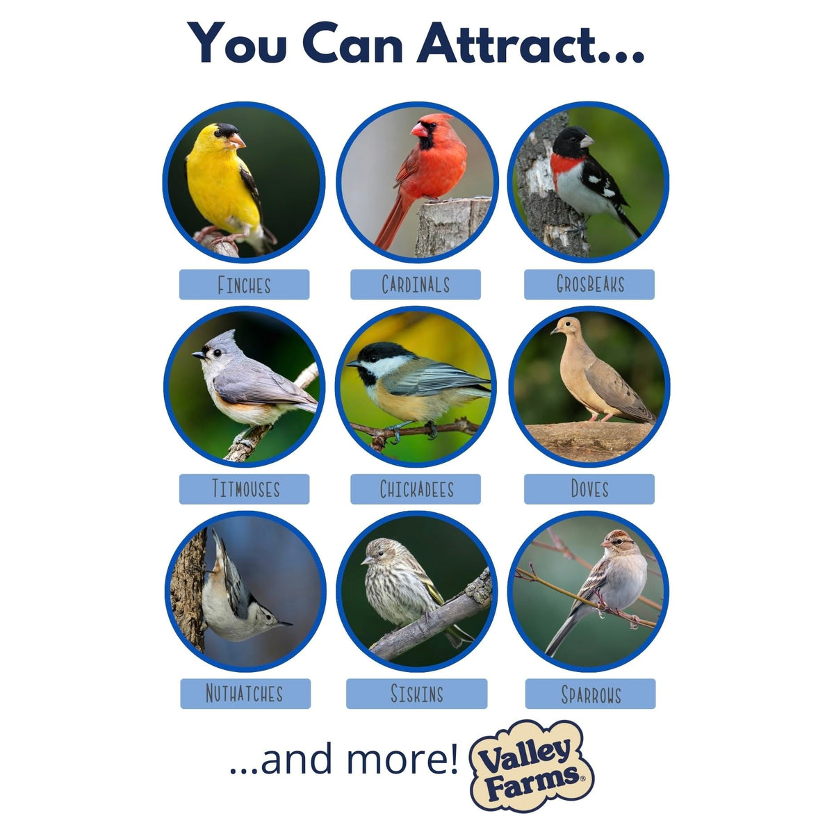 Wild Bird Food 20 LB Q500
