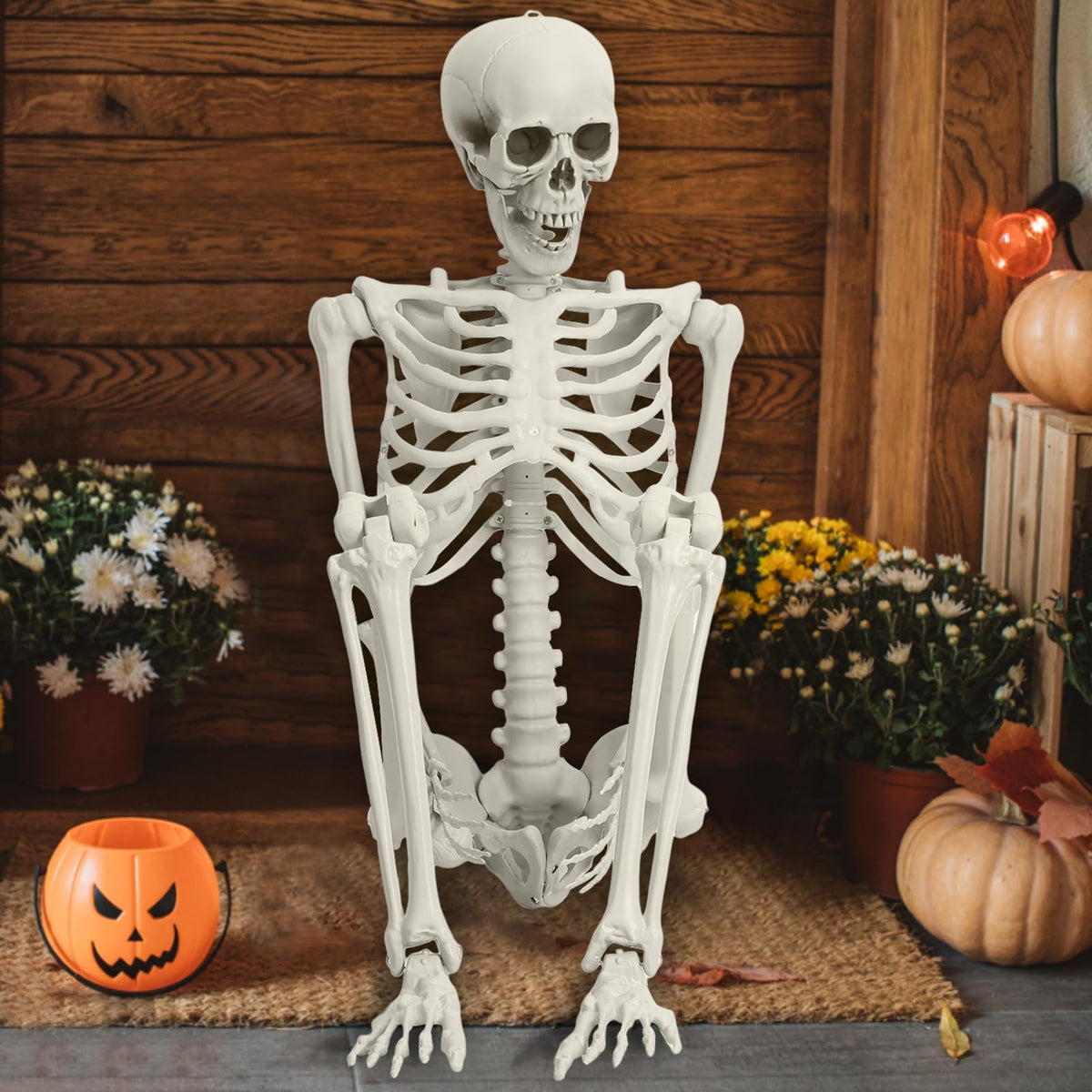 5.4FT 170cm Life Size Posable Skeleton with Movable Joints F146208