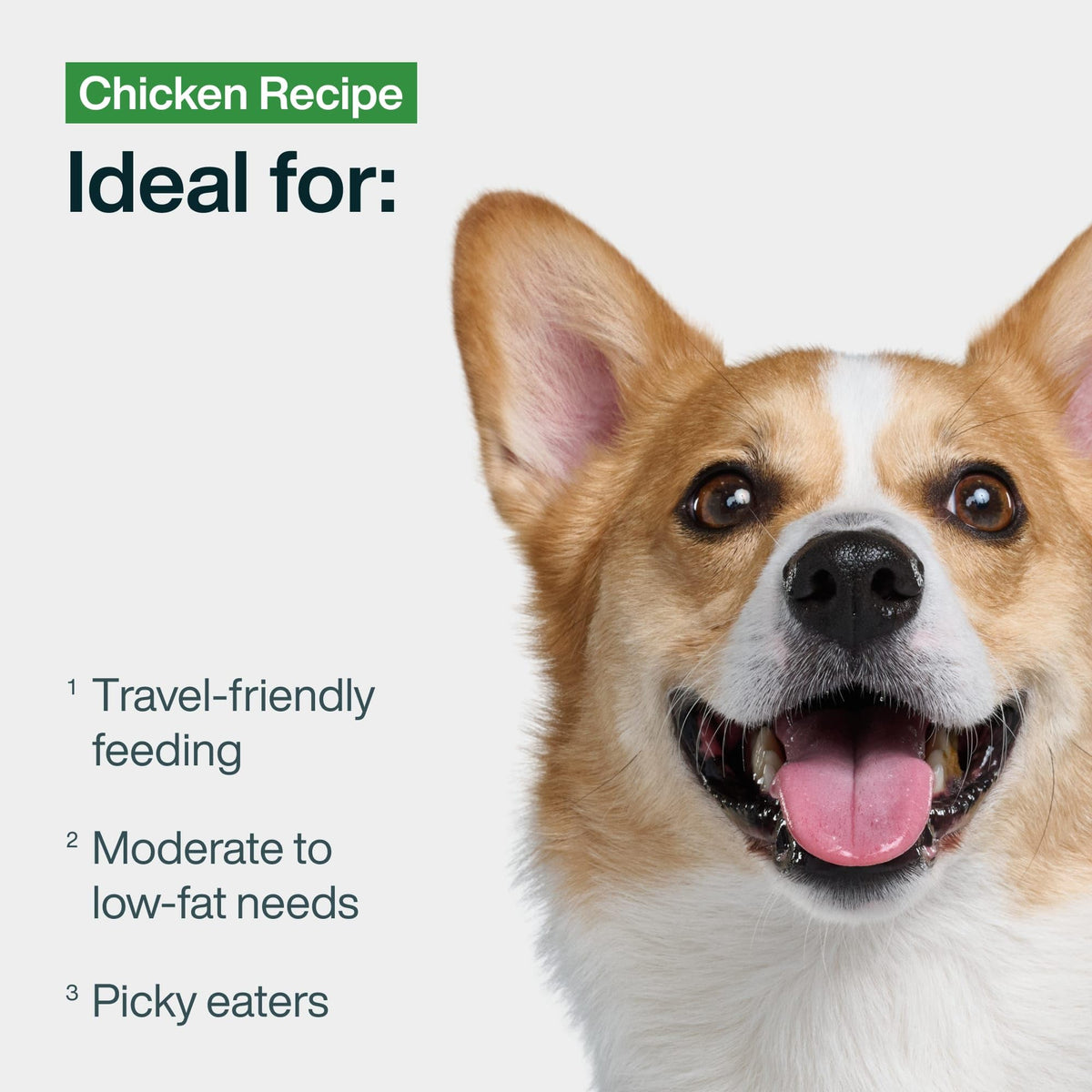 Chicken Wet Dog Food 7 Pack J9620