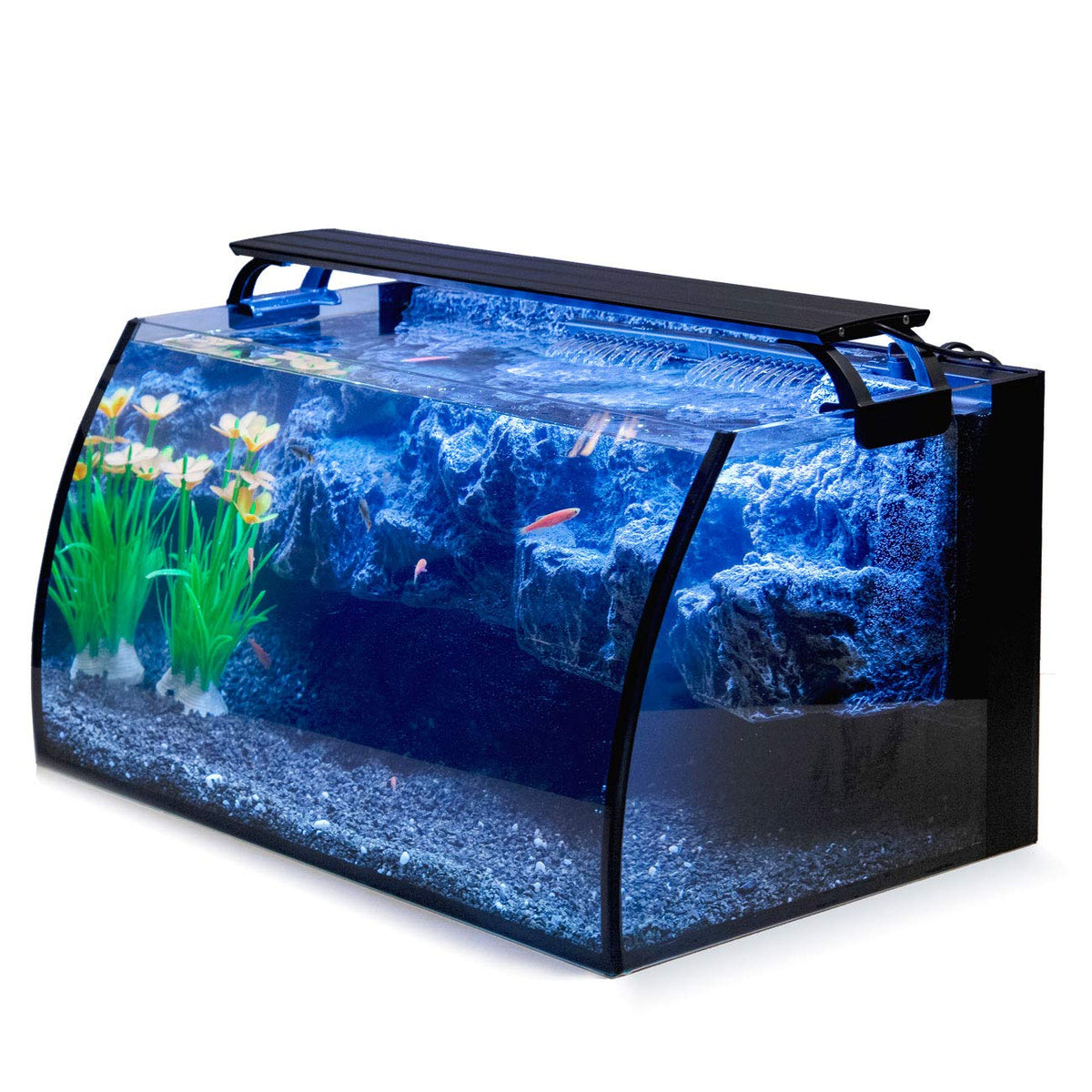 8 Gallon LED Glass Aquarium Kit with 3D Rockery Background B741