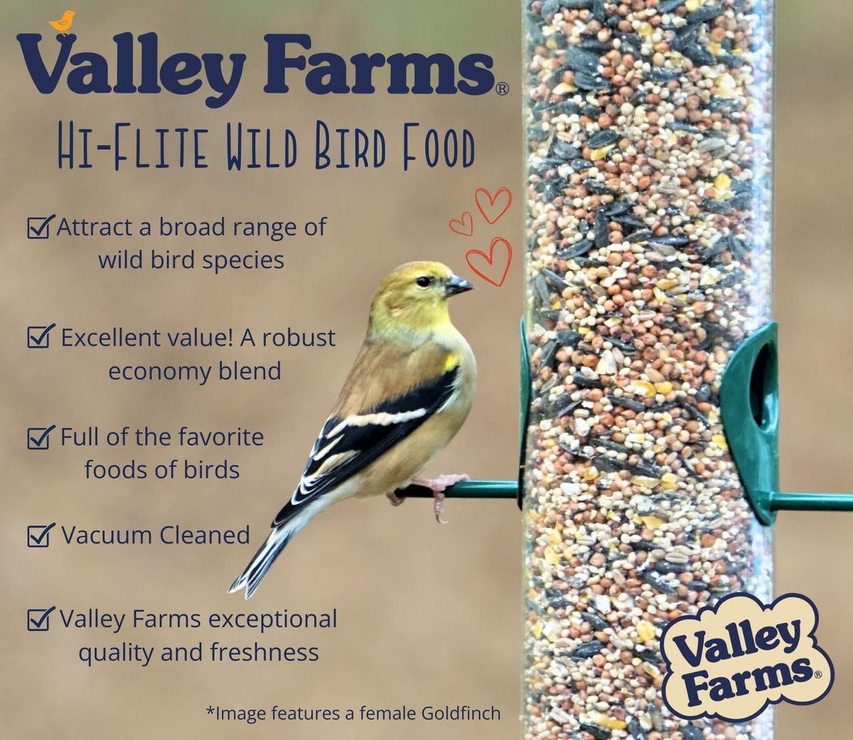 Wild Bird Food 20 LB Q500