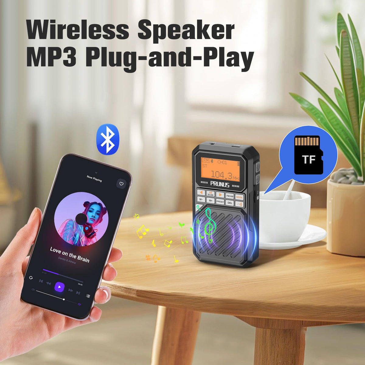 Portable AM FM Radio with Bluetooth V2431