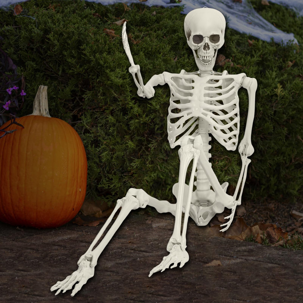 5.4FT 170cm Life Size Posable Skeleton with Movable Joints F146208