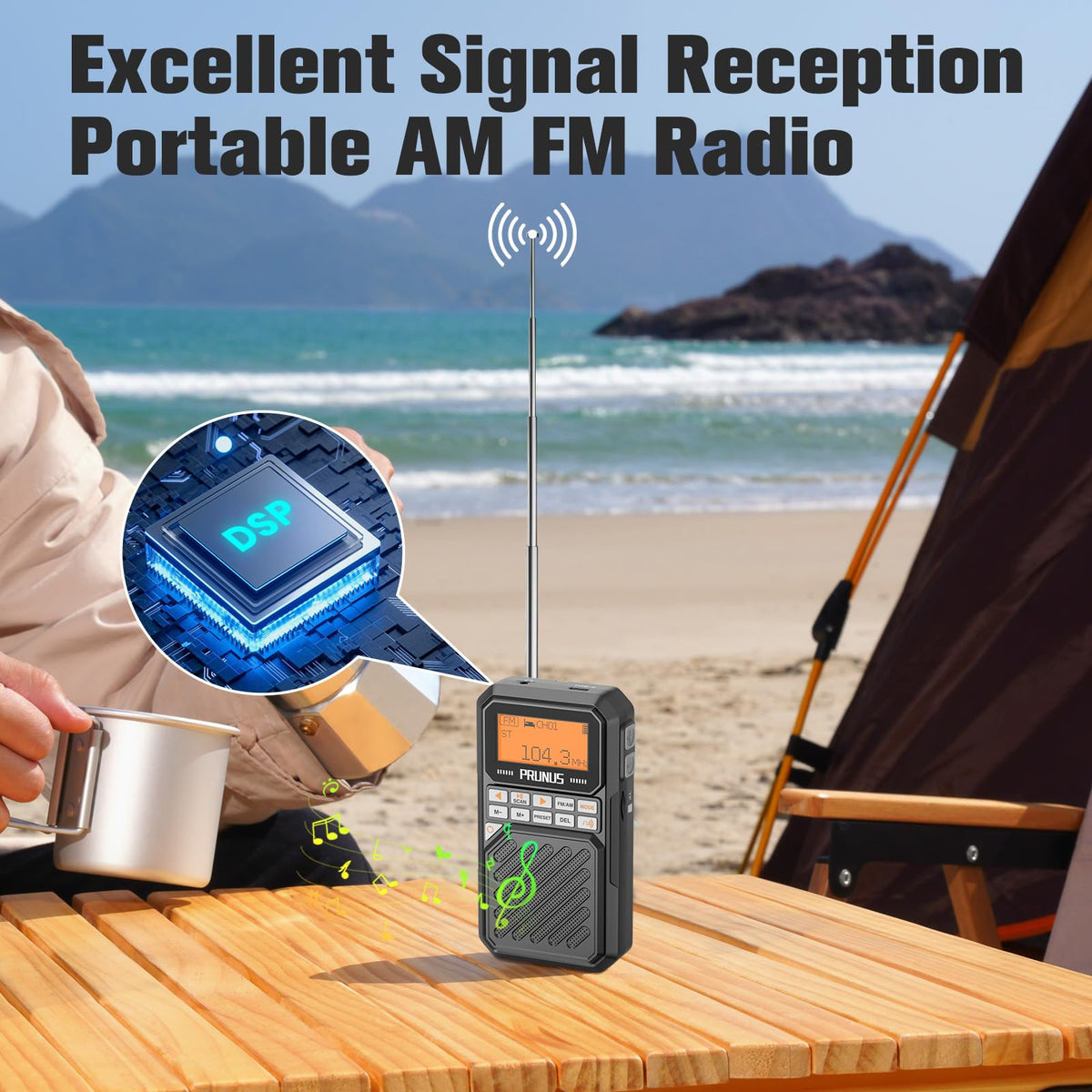 Portable AM FM Radio with Bluetooth V2431