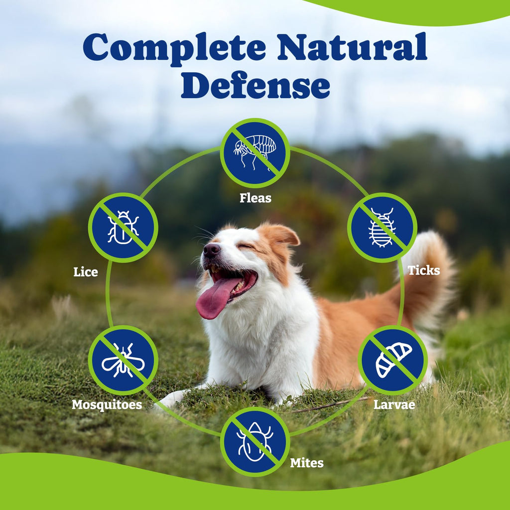 Flea & Tick Prevention for Dogs Chewables X88230