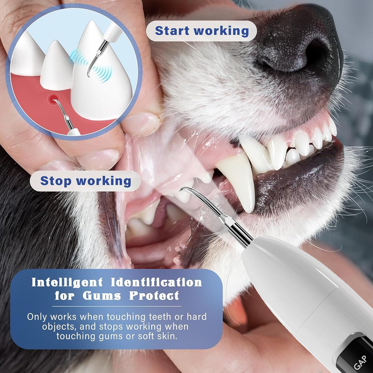 Ultrasonic Pet Dental Cleaner with 4 Tips, 3 Modes, LED, White E474133