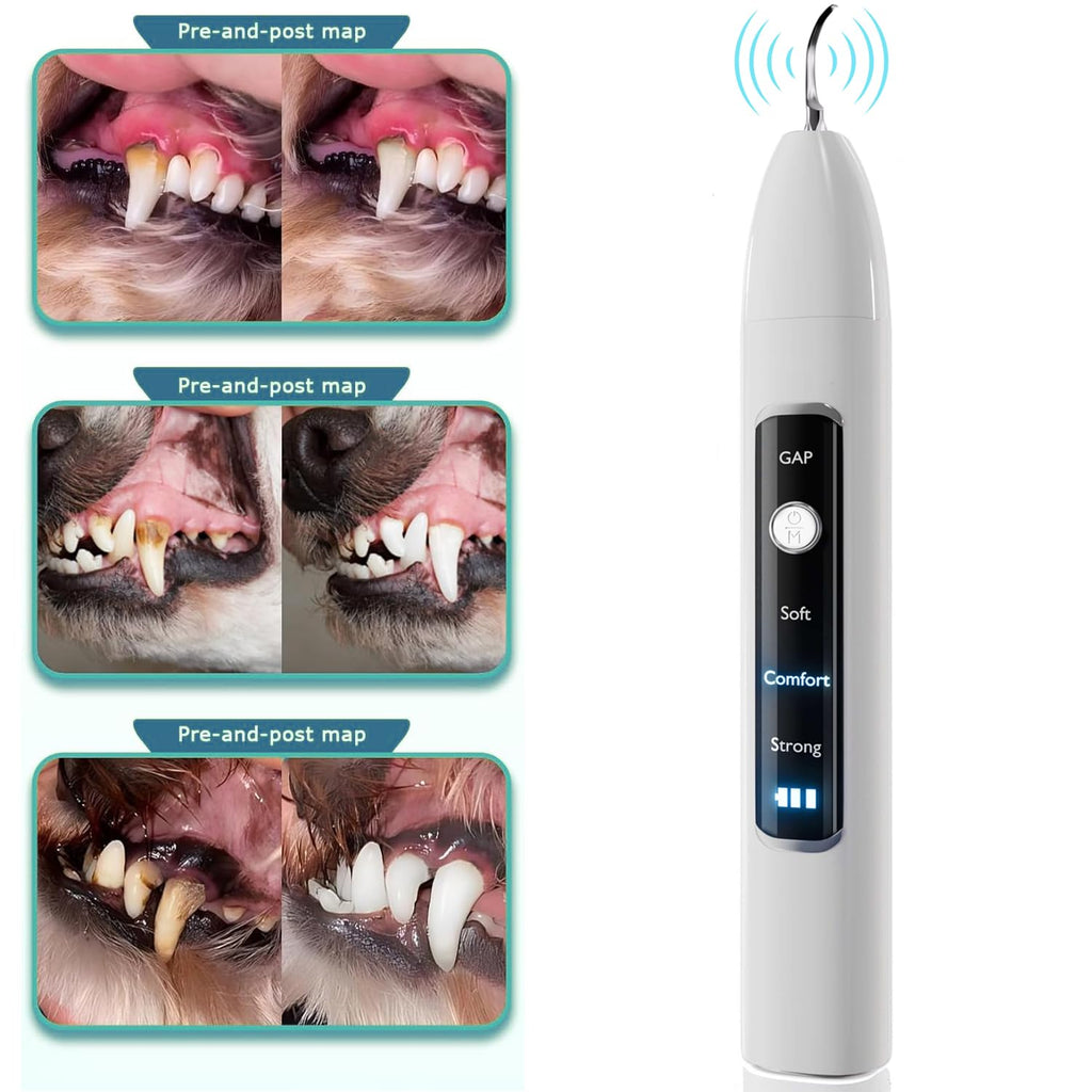Ultrasonic Pet Dental Cleaner with 4 Tips, 3 Modes, LED, White E474133