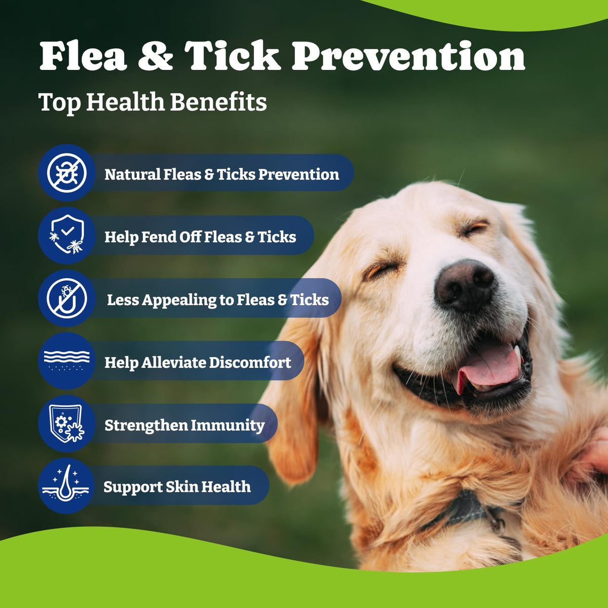 Flea & Tick Prevention for Dogs Chewables X88230