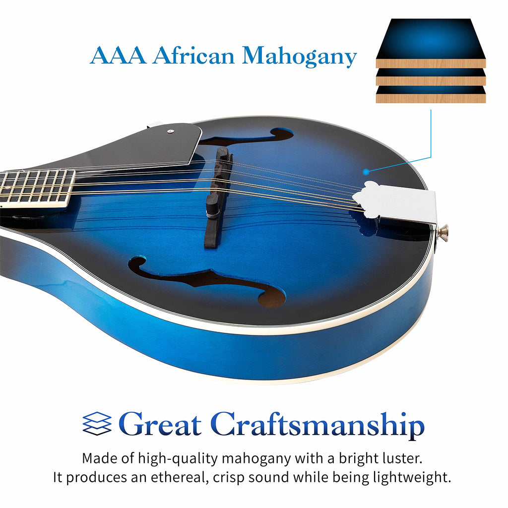 8 String Acoustic Mandolin C7420