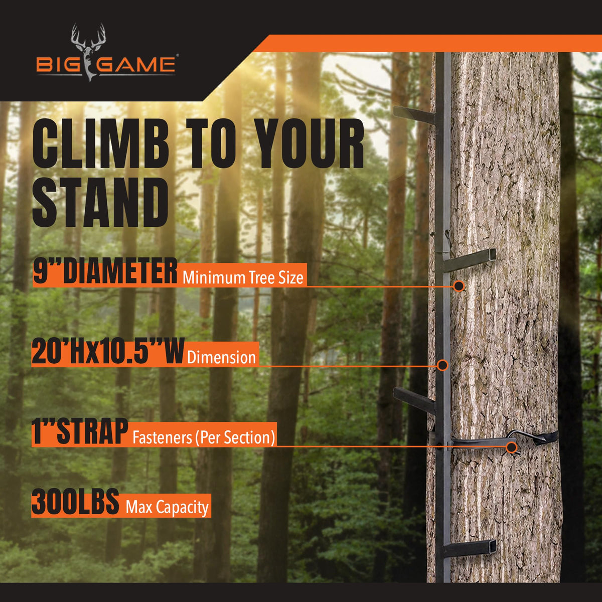 Climbing Ladder Sticks, 20’ Quick-Stick C590071