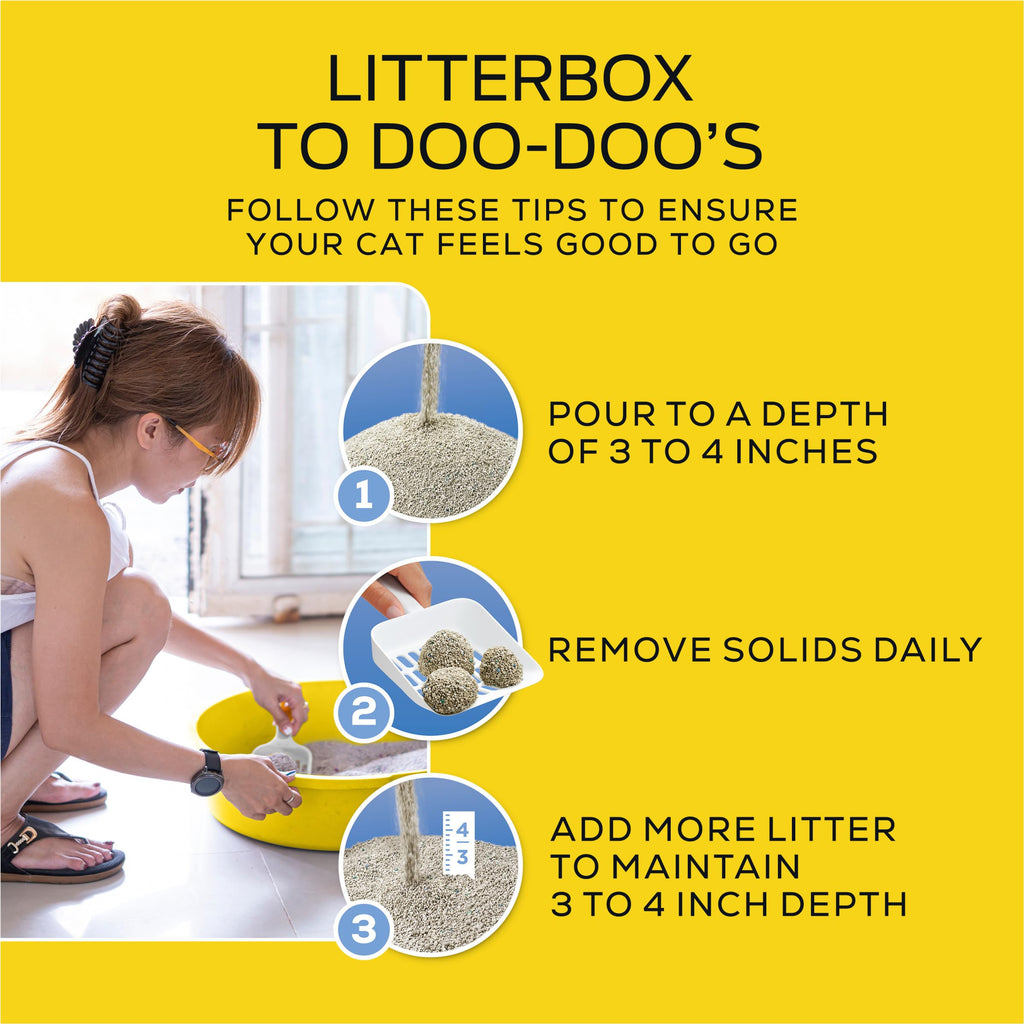 LightWeight Instant Action Cat Litter Y274