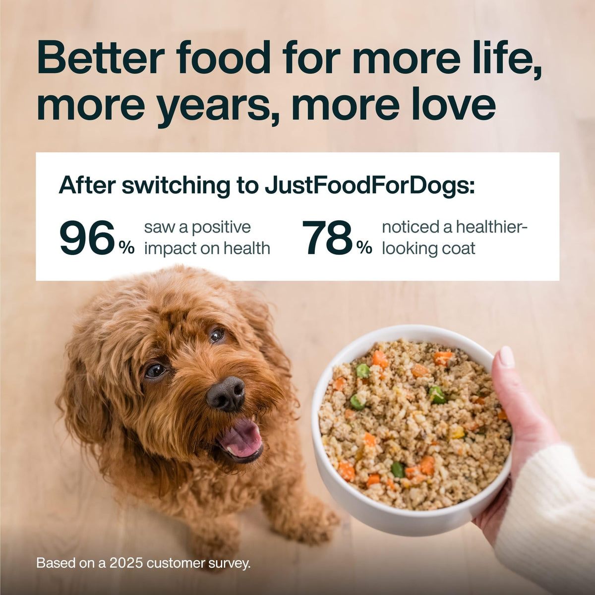 Chicken Wet Dog Food 7 Pack J9620