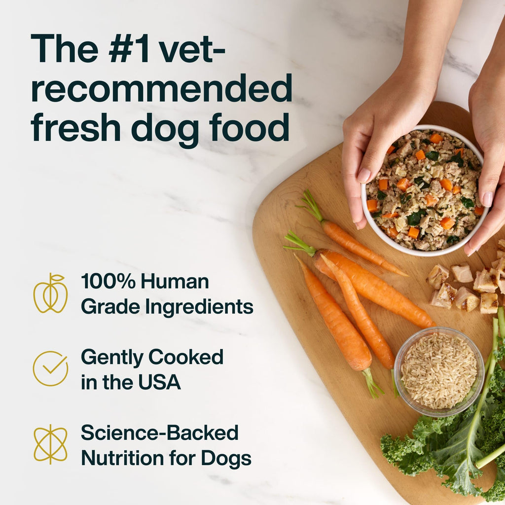 Chicken Wet Dog Food 7 Pack J9620