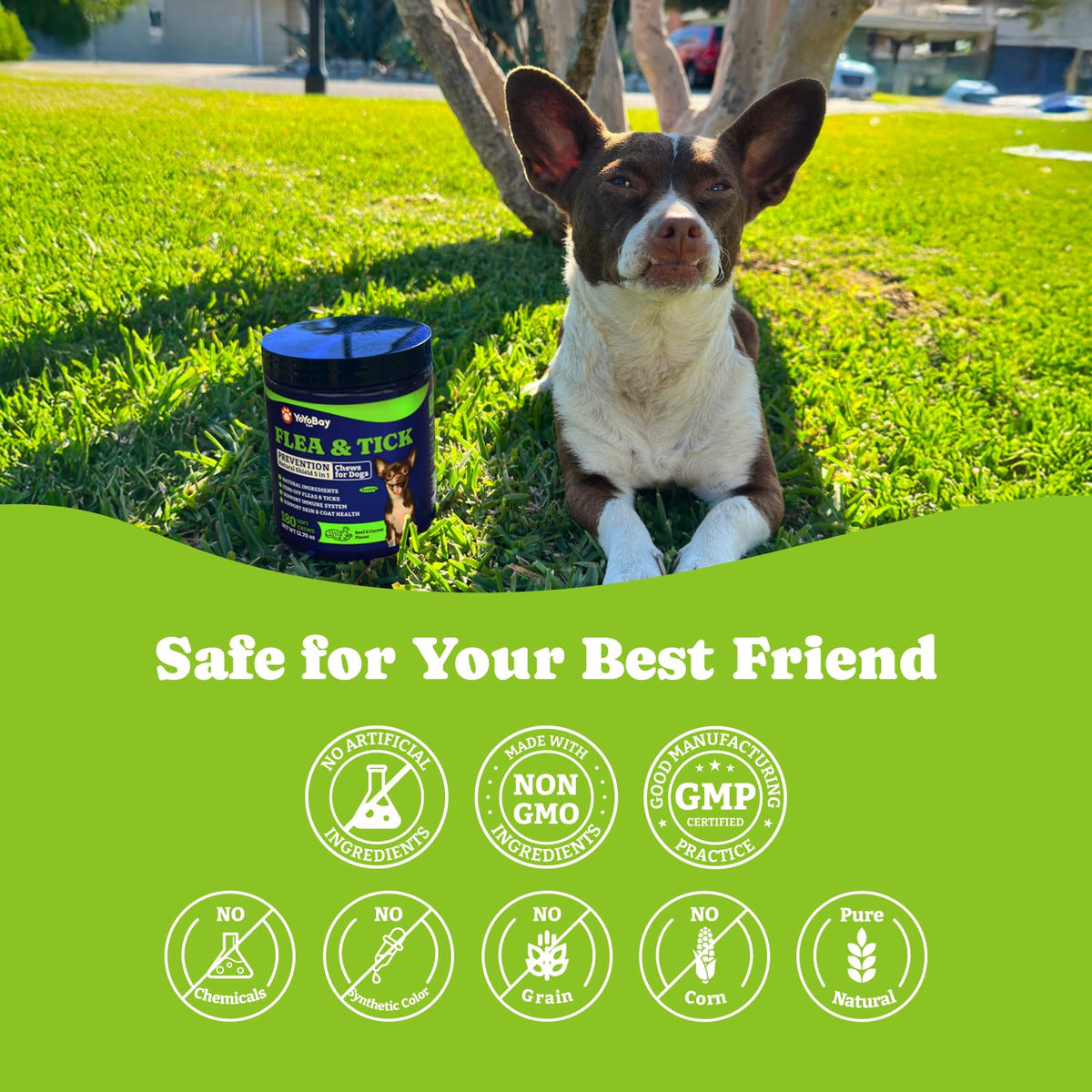 Flea & Tick Prevention for Dogs Chewables X88230
