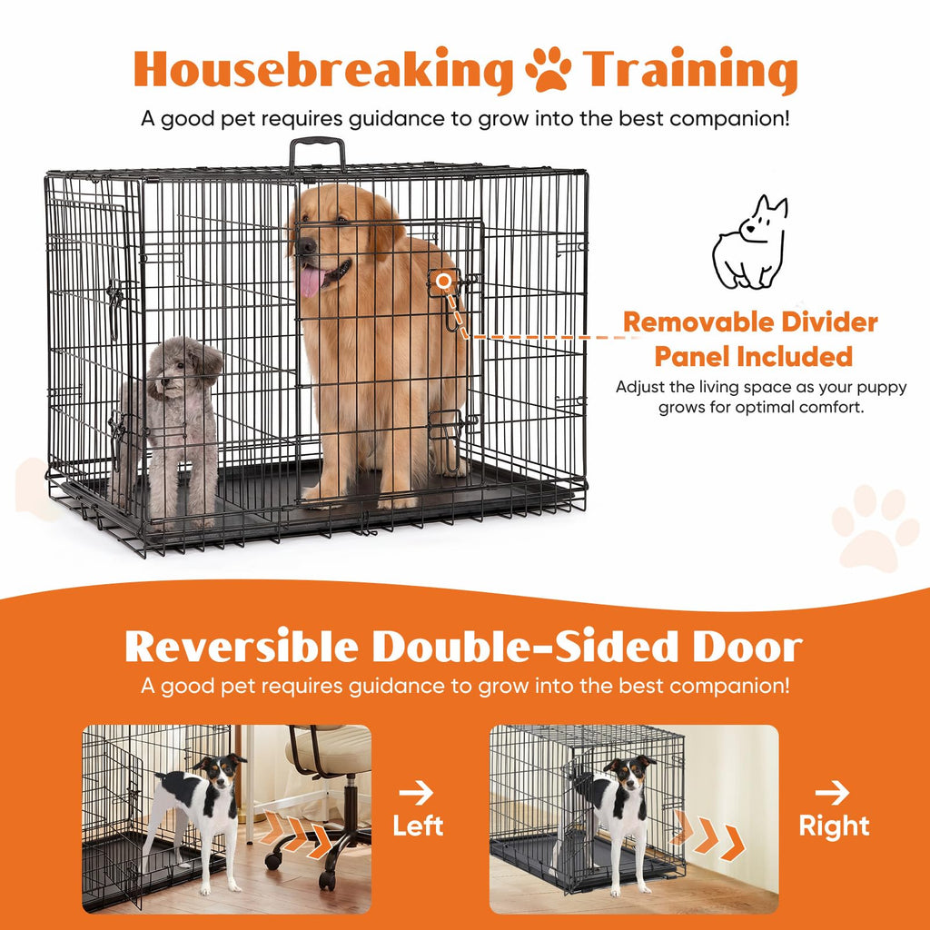 36 Inch Foldable Dog Crate B937
