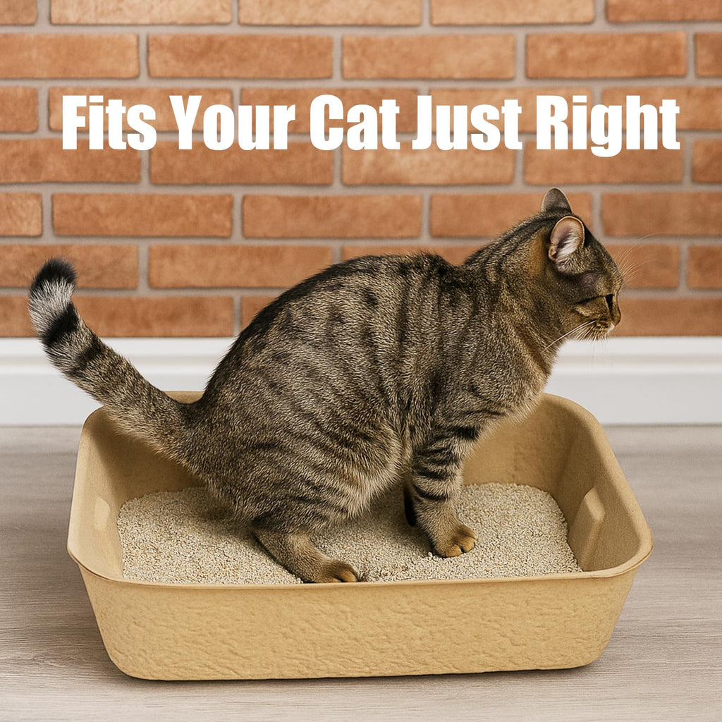 8 Pack Disposable Litter Boxes P89404