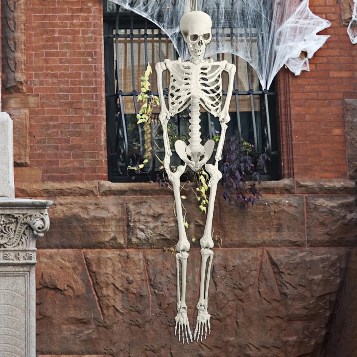 5.4FT 170cm Life Size Posable Skeleton with Movable Joints F146208