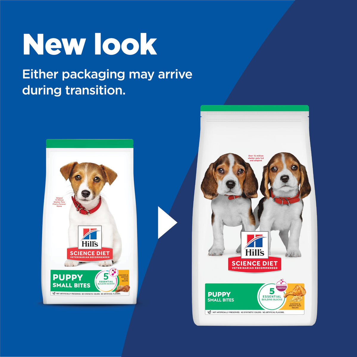 Dry Dog Food U139348