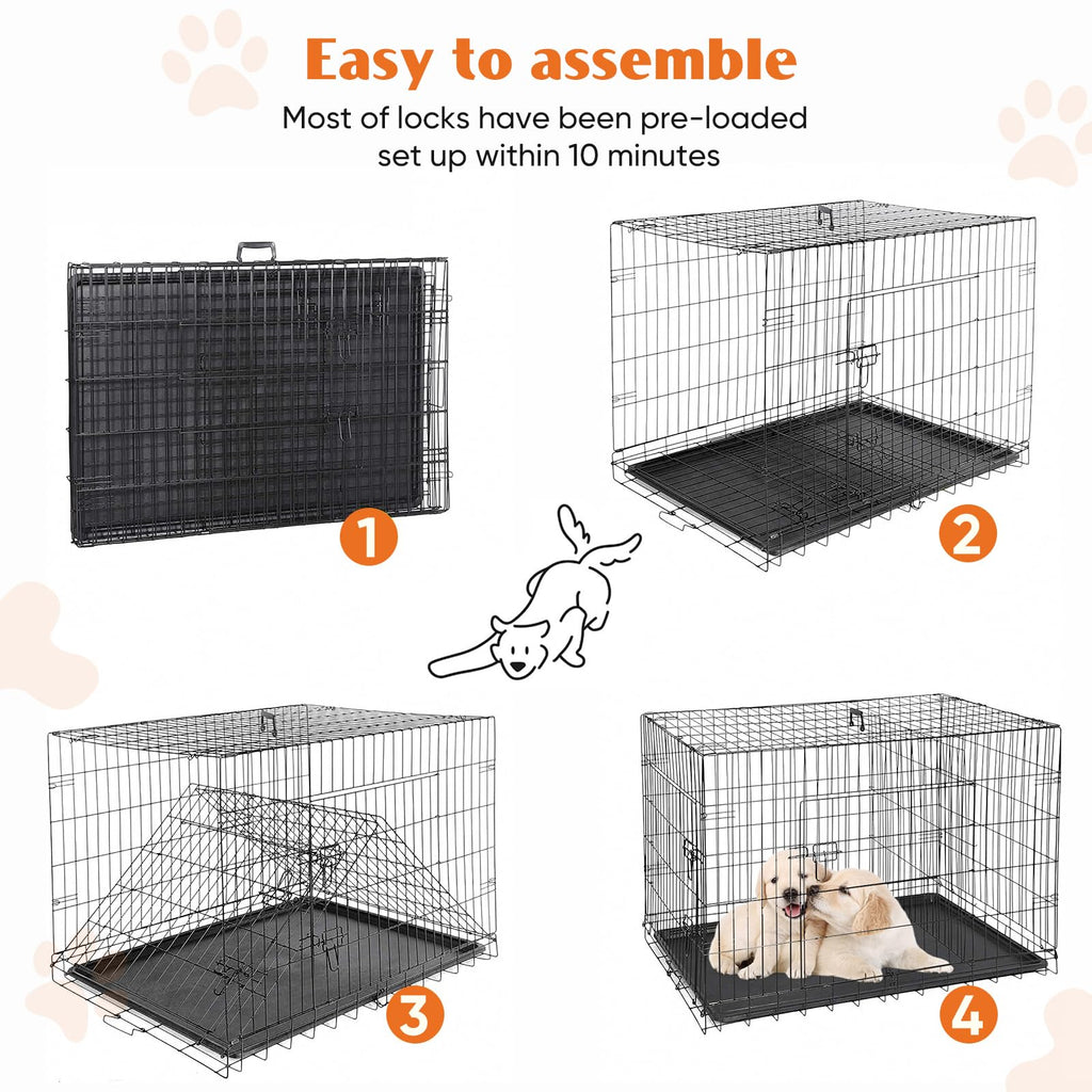 36 Inch Foldable Dog Crate B937