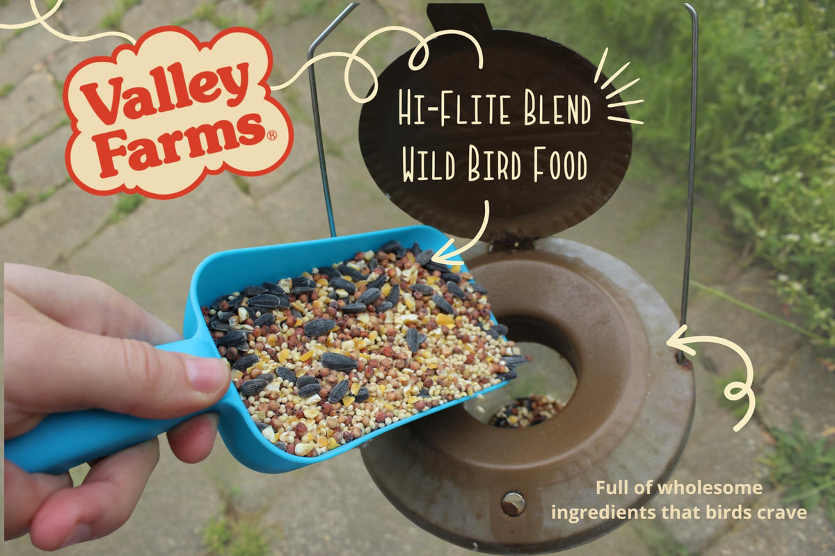 Wild Bird Food 20 LB Q500