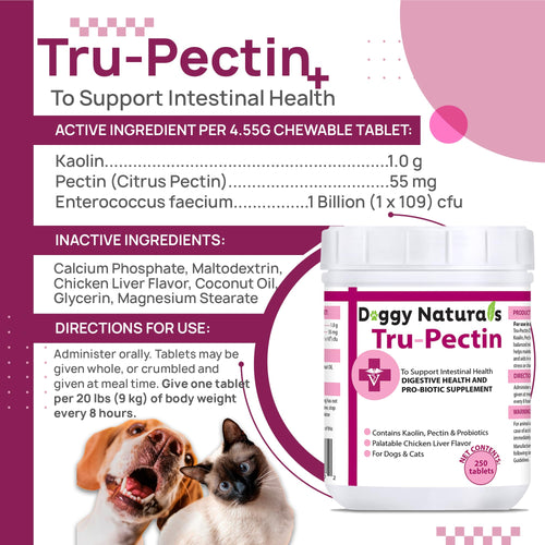250 Tablets Chicken Liver Flavor Anti-Diarrheal for Dogs & Cats Q176801