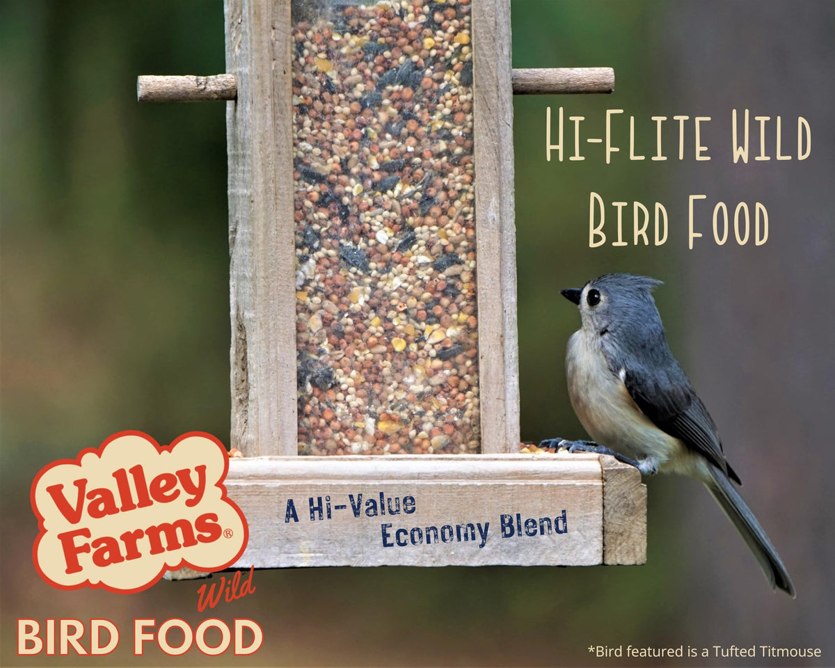 Wild Bird Food 20 LB Q500