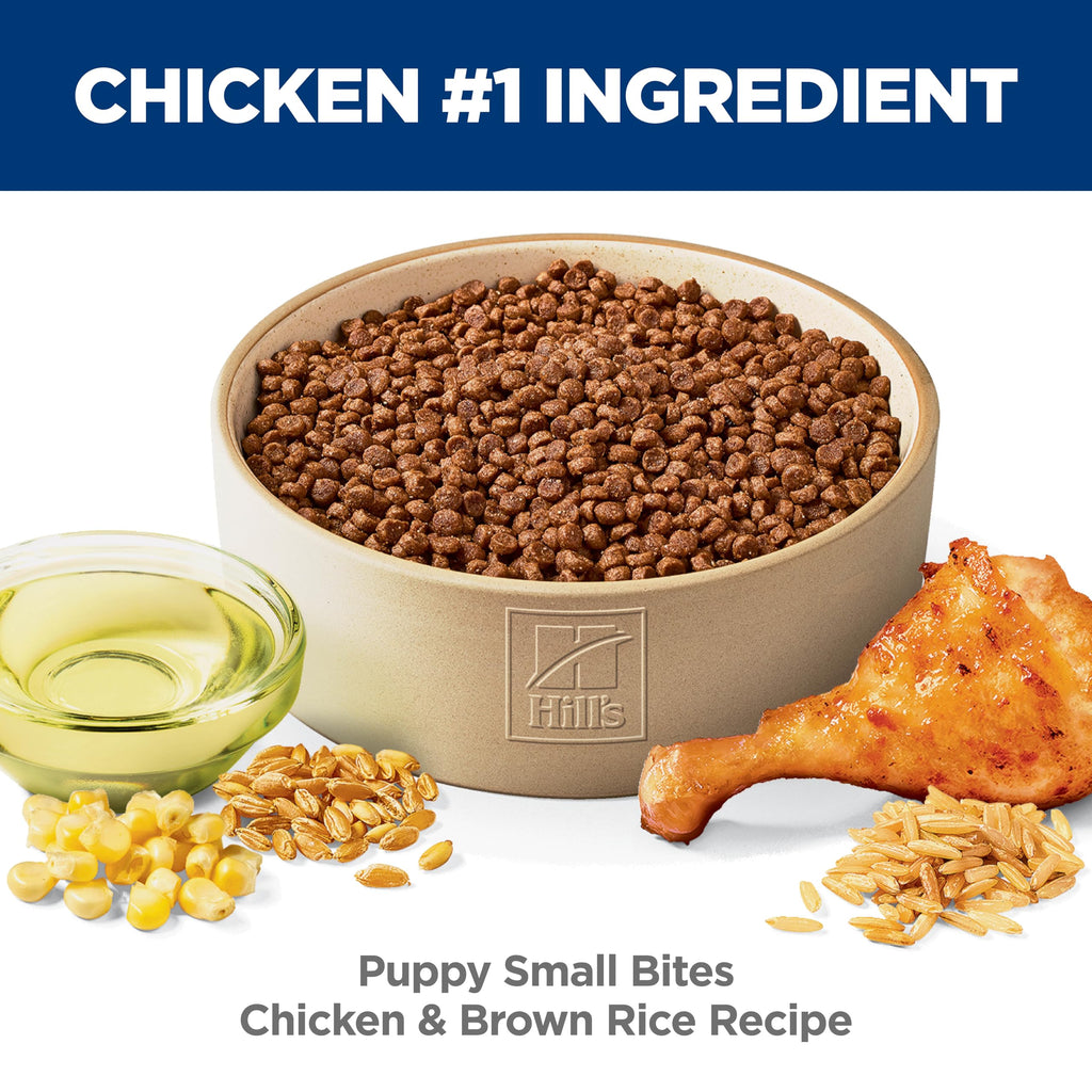 Dry Dog Food U139348