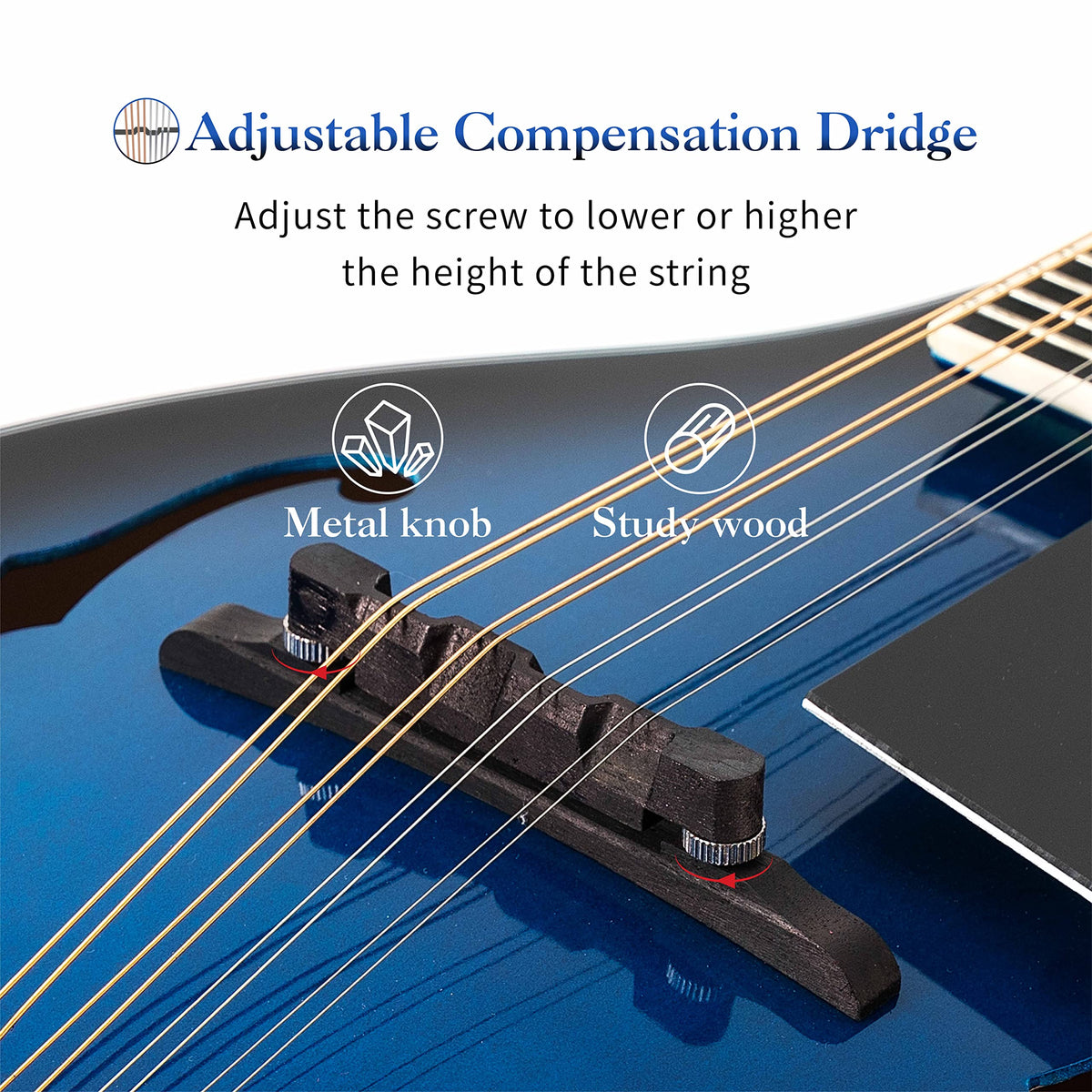 8 String Acoustic Mandolin C7420