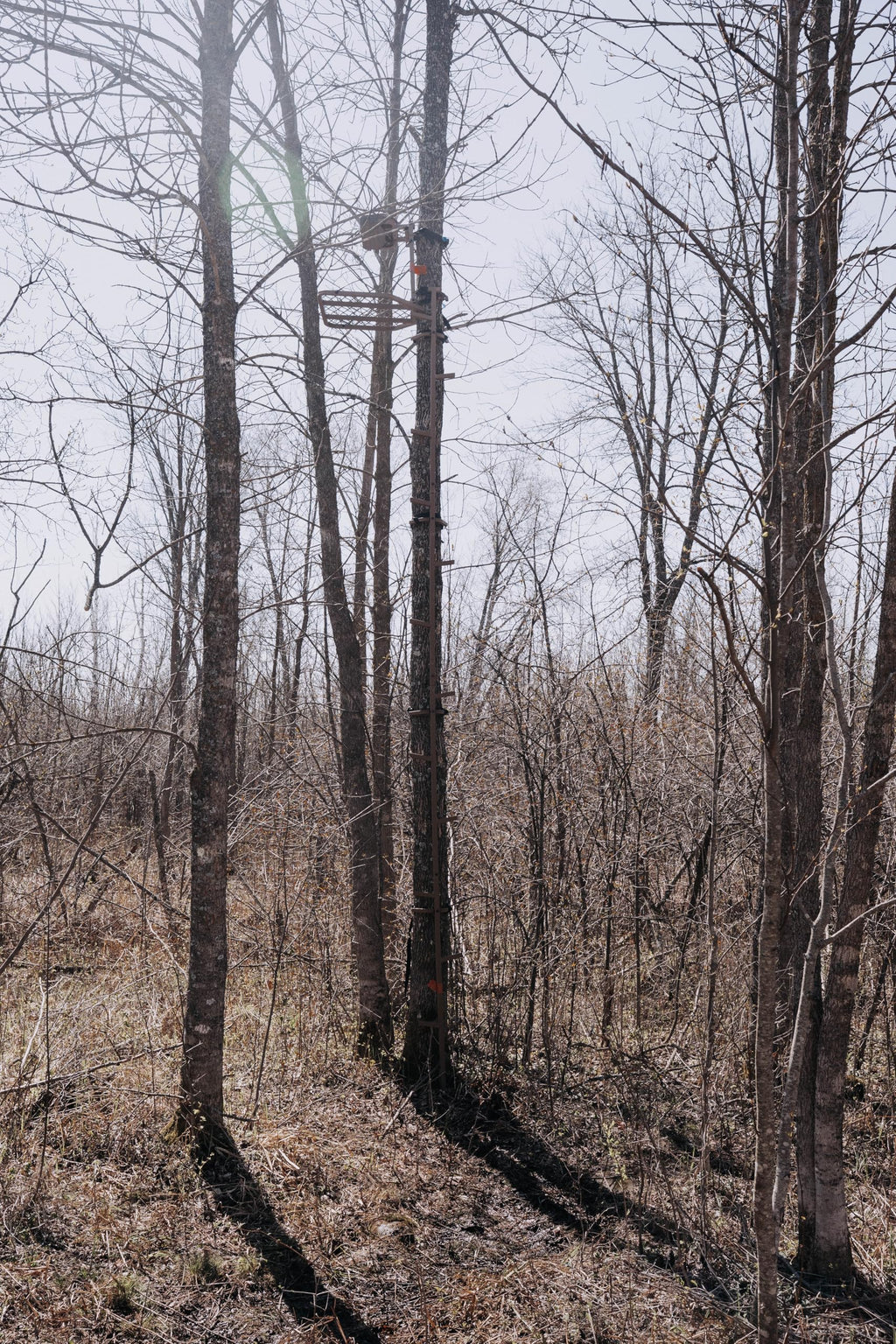 16 FT Steel Treestand Climbing Sticks X5926