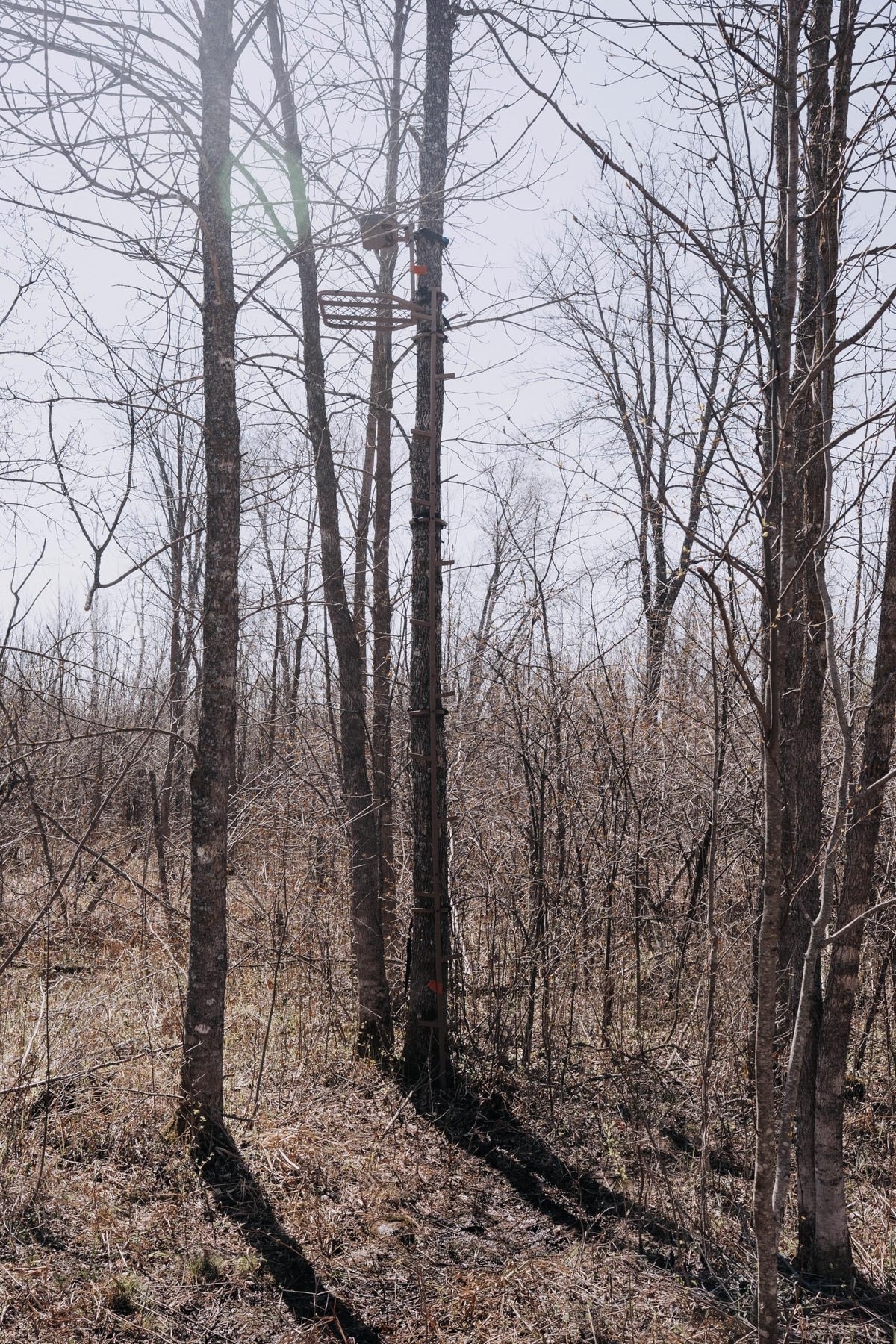 16 FT Steel Treestand Climbing Sticks X5926
